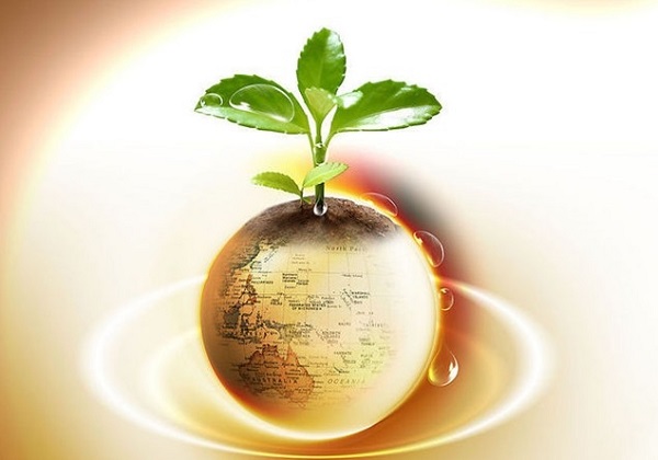 美债与美元的危险连锁：当收益率下跌遇见流动性收紧